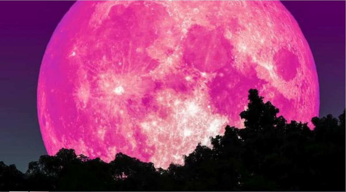 Luna Rosa: cuándo se puede ver en Argentina.