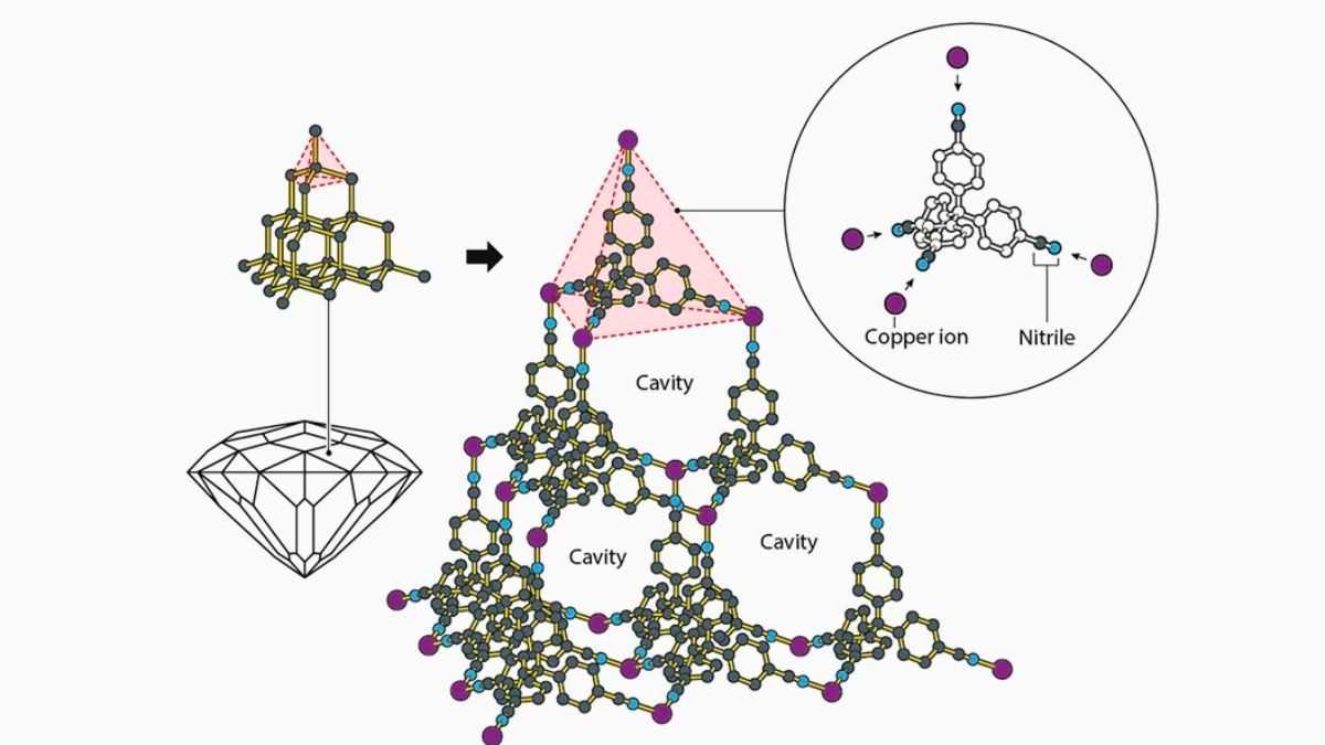 La construcción de nuevos materiales es una de las posibilidades que abren las investigaciones desarrolladas por los ganadores del Premio Nobel 2025. La construcción de nuevos materiales es una de las posibilidades que abren las investigaciones desarrolladas por los ganadores del Premio Nobel 2025.