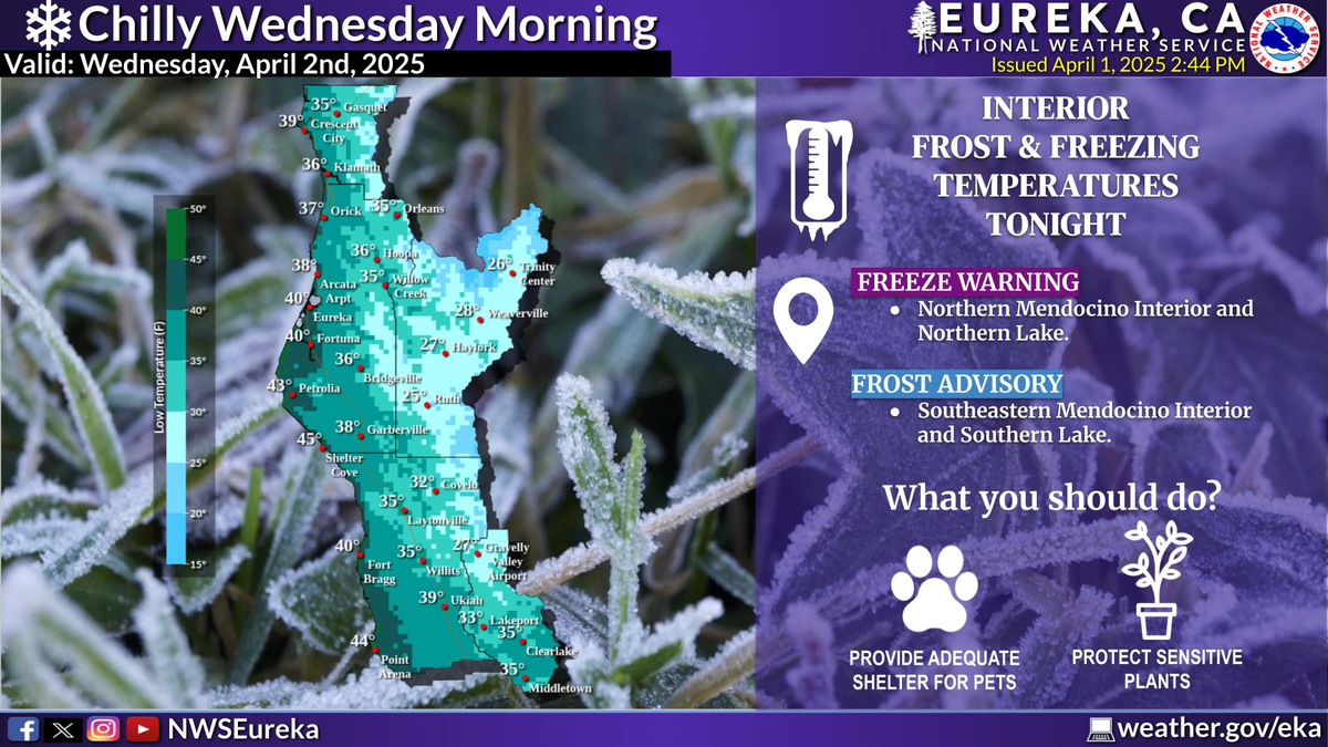 Esta zona se encuentra en alerta Esta zona se encuentra en alerta