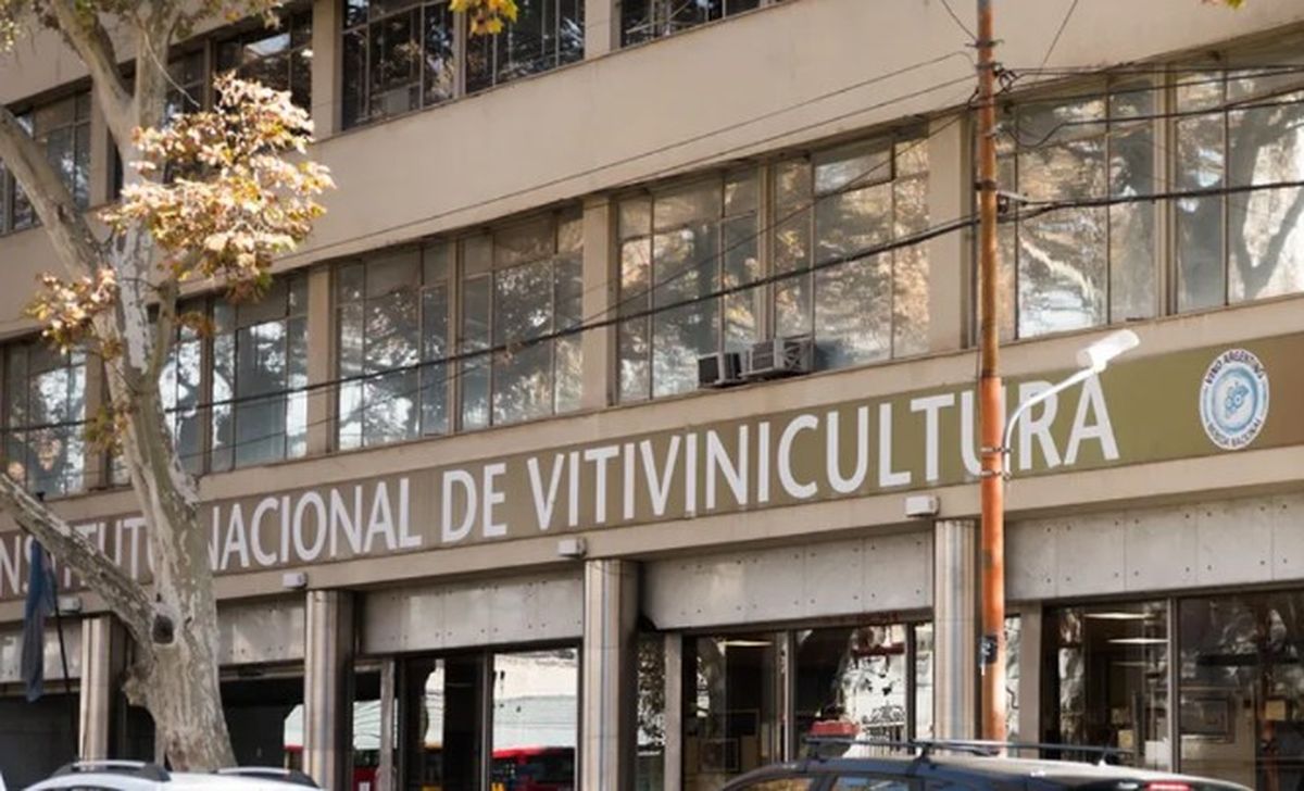 El Instituto Nacional de Vitivinicultura quedó 101º en el ranking que mide índices de transparencia. El Instituto Nacional de Vitivinicultura quedó 101º en el ranking que mide índices de transparencia.