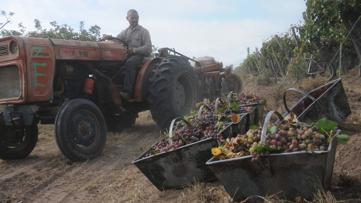La Municipalidad de San Martín está contactándose con los gobiernos de Tucumán, Salta y Jujuy para coordinar protocolos para la cosecha 2021 y que lleguen los obreros golondrina