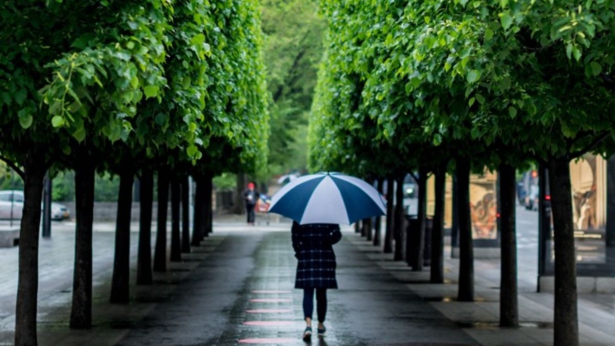 Foto: Unsplash Foto: Unsplash