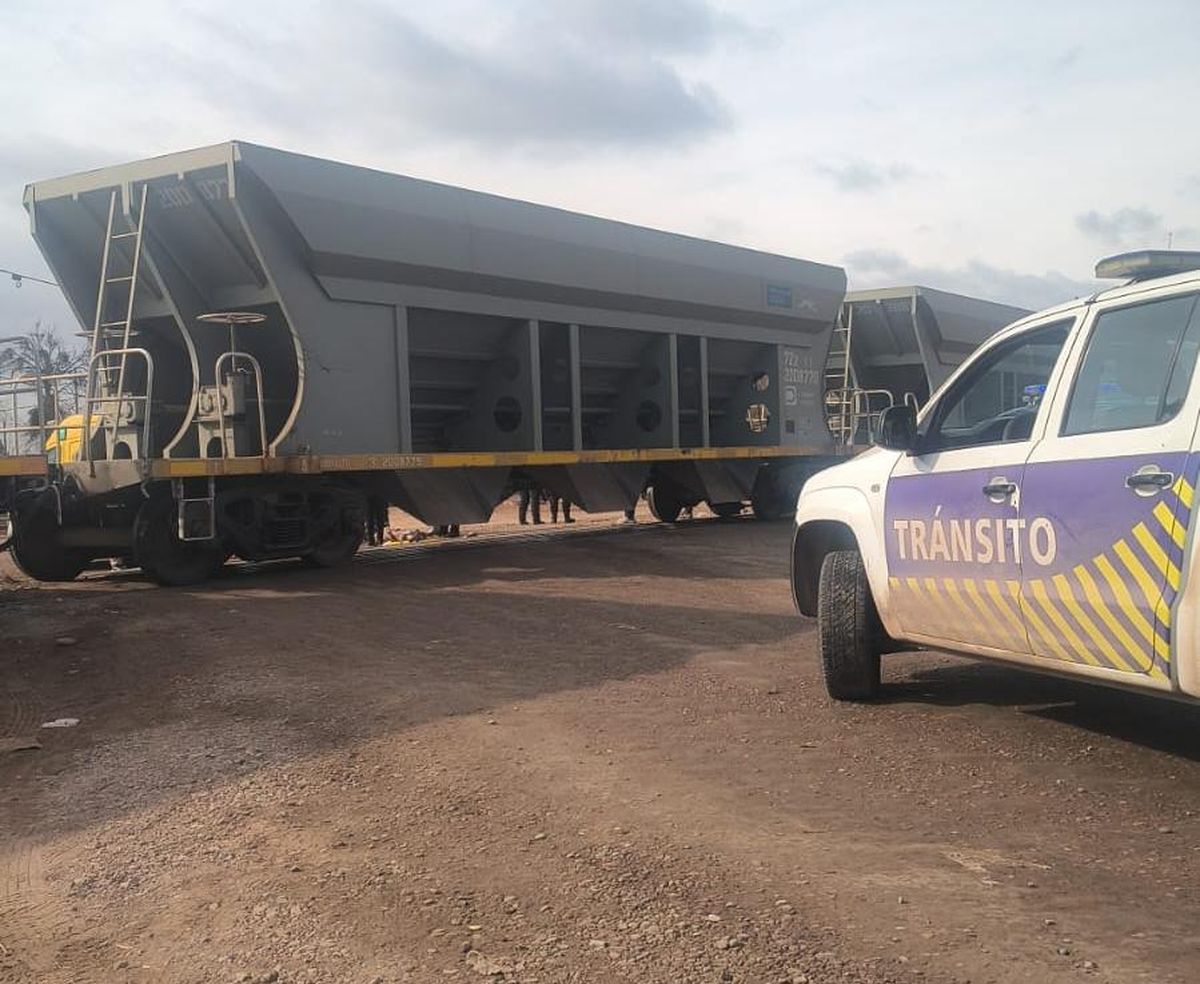 El tren de cargas contra el que chocó la pareja en motocicleta. Fotos: Matías Pascualetti/Radio Nihuil