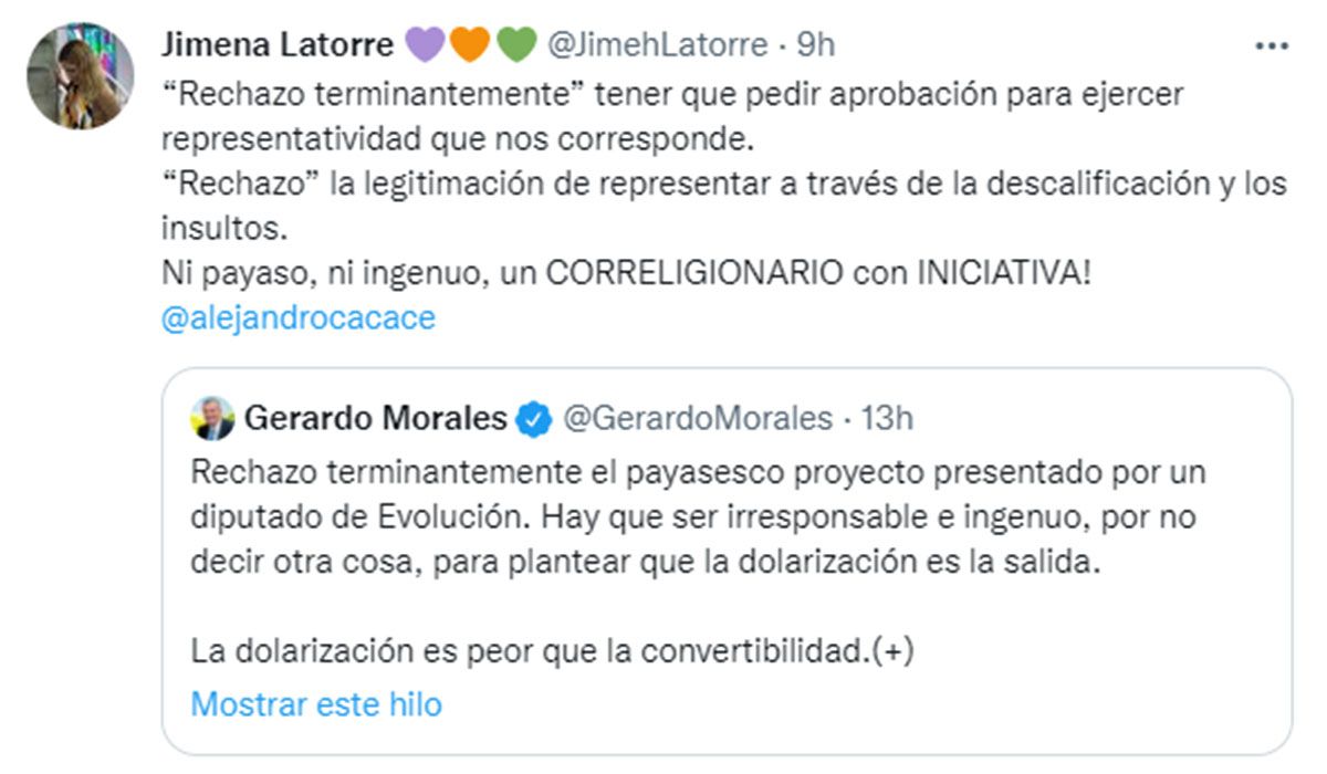 La crítica de Latorre a las palabras de Morales, presidente de la UCR.