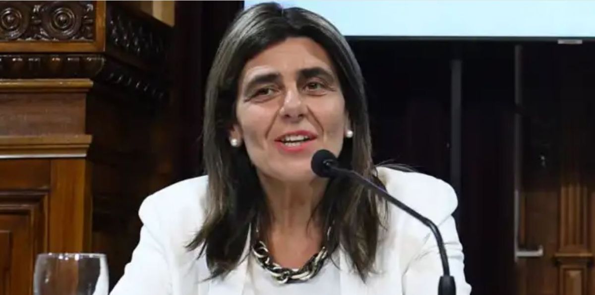 La senadora nacional mendocina del radicalismo, Mariana Juri, anunci&oacute; que defender&aacute; la continuidad de Mendoza en el r&eacute;gimen de Zona Fr&iacute;a.