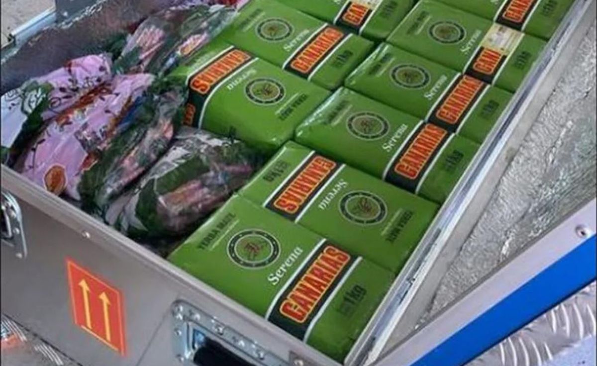 Mate rico y saludable. El mate siempre acompaña a la Scaloneta pero, ¿cuál es la yerba preferida por los jugadores? Mate rico y saludable. El mate siempre acompaña a la Scaloneta pero, ¿cuál es la yerba preferida por los jugadores?