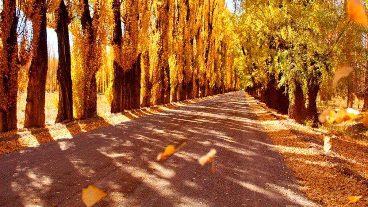 Mendoza recibe turismo en diferentes estaciones. El otoño es una de ellas. Mendoza recibe turismo en diferentes estaciones. El otoño es una de ellas.