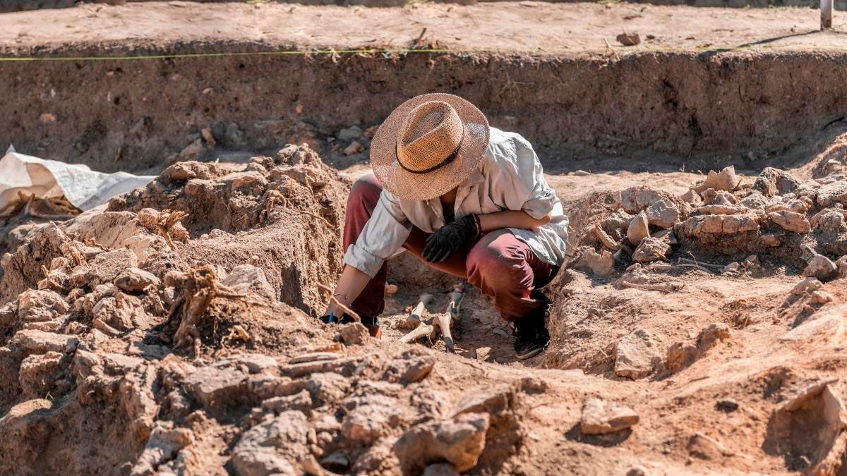 Se celebra en esta fecha porque se fundó un 27 de julio, pero de 1972, el Colegio de Graduados en Antropología. Se celebra en esta fecha porque se fundó un 27 de julio, pero de 1972, el Colegio de Graduados en Antropología.