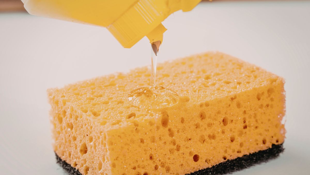 Lo ideal es desinfectar la esponja y secarla bien luego de cada uso. Lo ideal es desinfectar la esponja y secarla bien luego de cada uso.