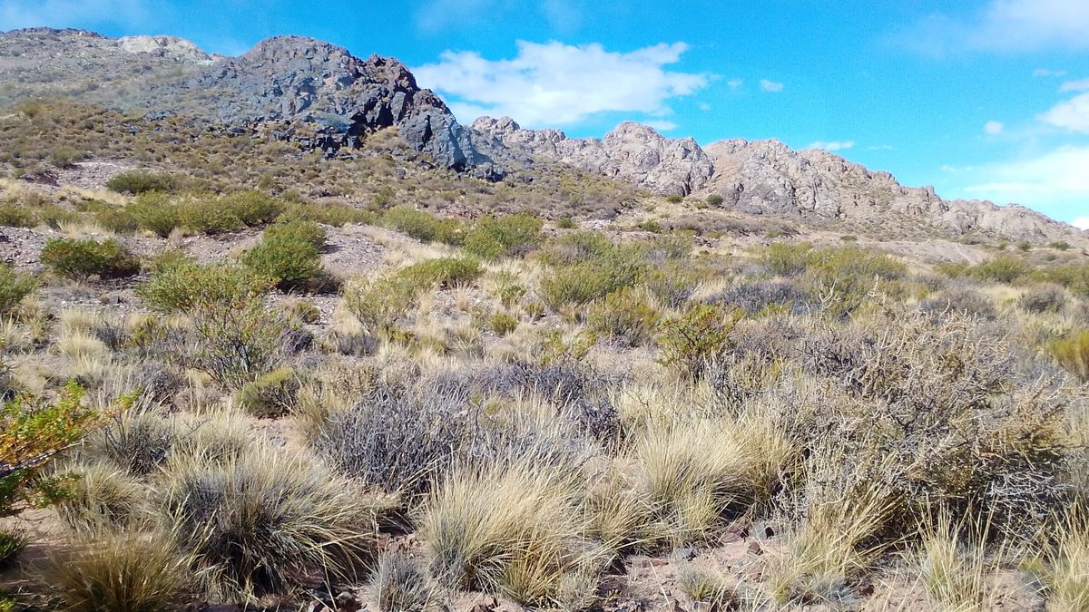 La formación de la que asoma el cobre a simple vista. El llamado La formación de la que asoma el cobre a simple vista. El llamado