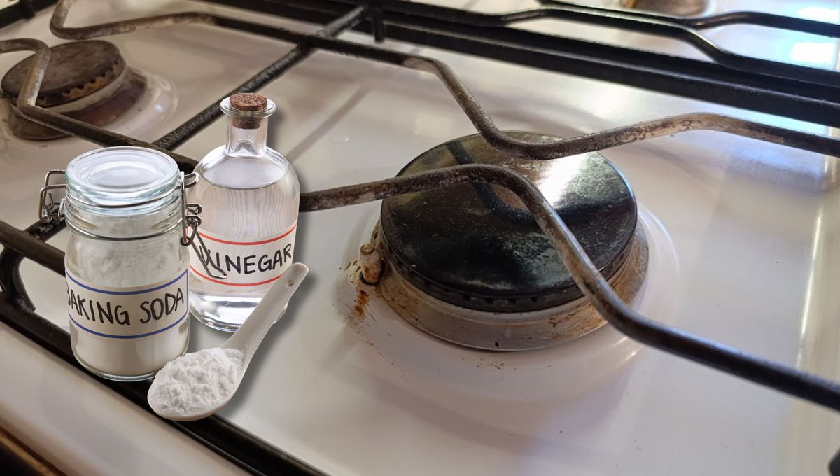 Puedes realizar este truco de cocina cada 15 días o una vez al mes para mantener las rejillas impecables. Puedes realizar este truco de cocina cada 15 días o una vez al mes para mantener las rejillas impecables. 