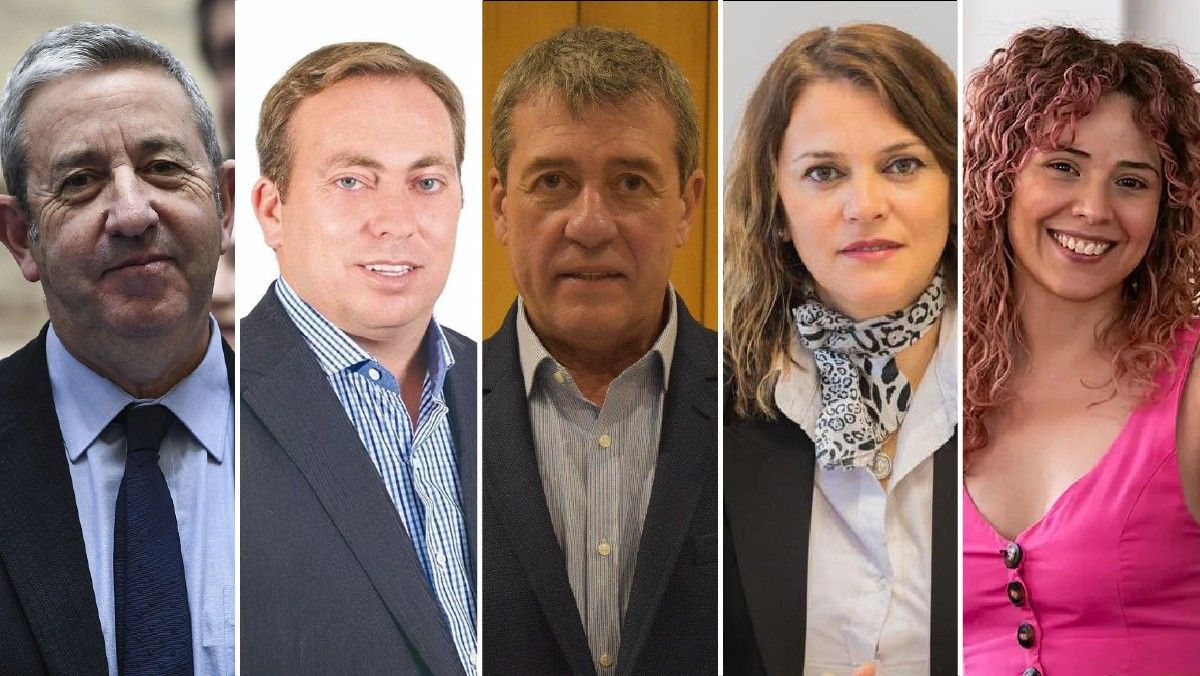Diputados nacionales mendocinos: Julio Cobos
