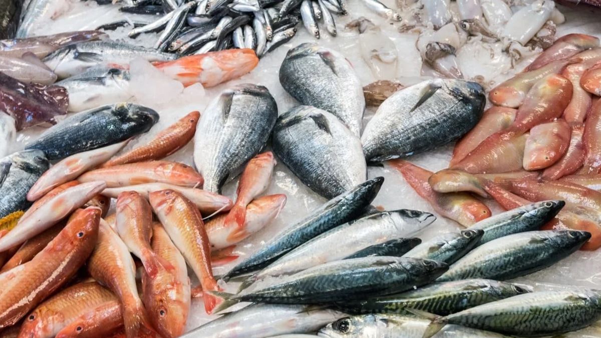 La intoxicación con pescado puede llegar a ser muy grave. La intoxicación con pescado puede llegar a ser muy grave.