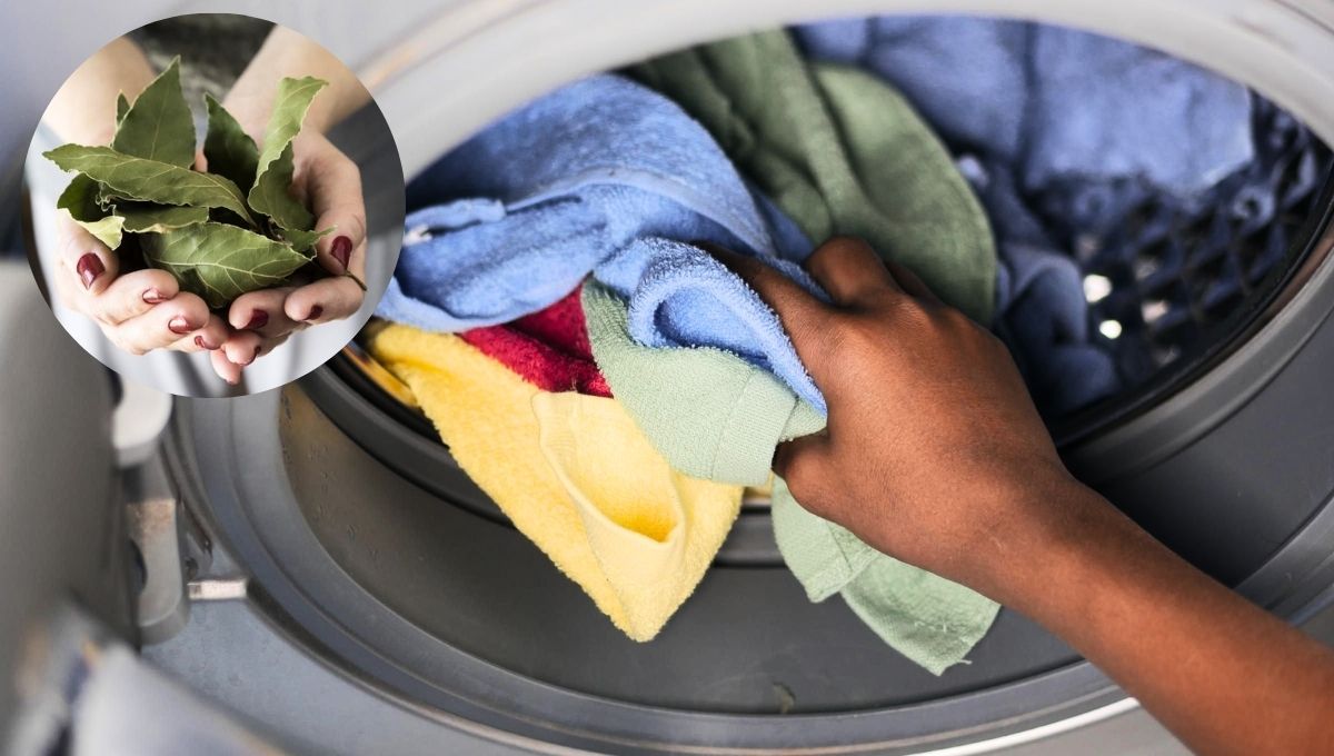 Lavar la ropa con laurel puede traerte varios beneficios