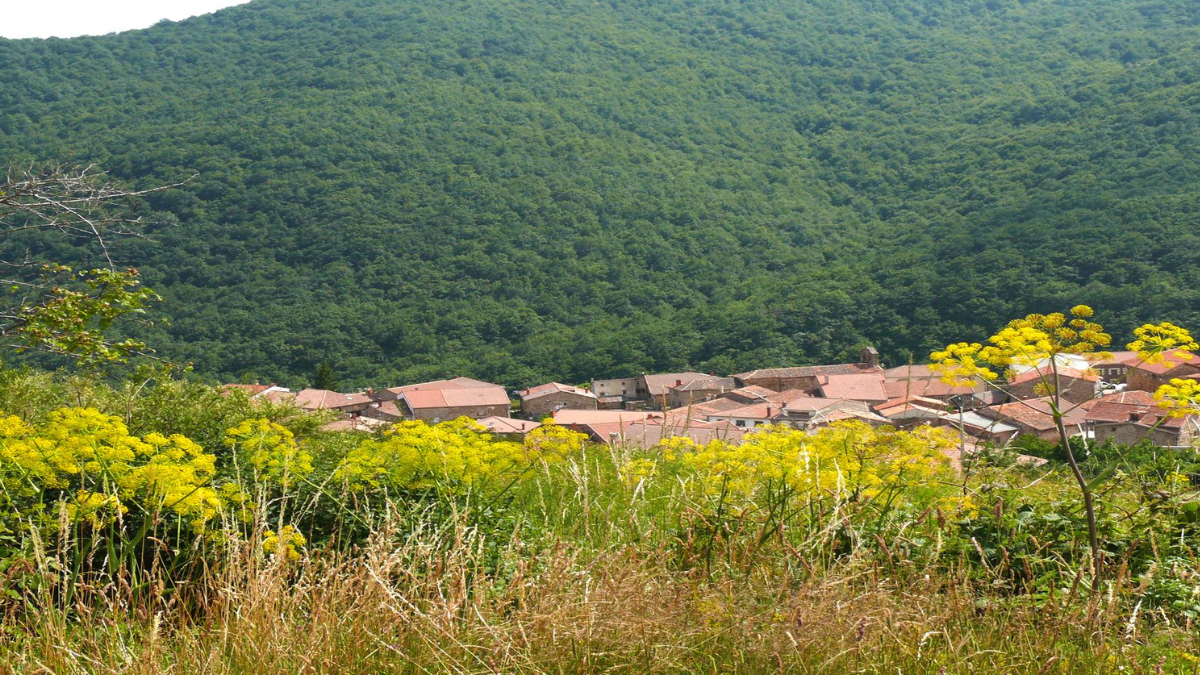 Brañosera, el pueblo antigua de España que está dentro de un parque natural. 