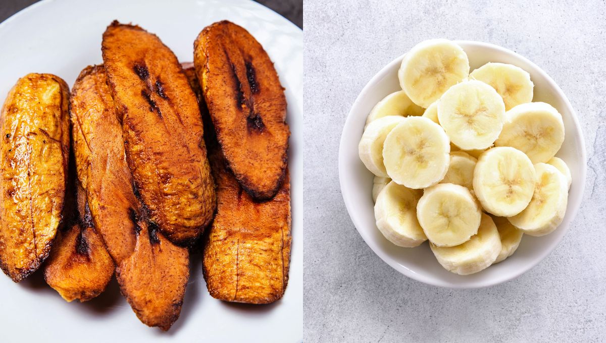 En Argentina es mucho más común y consumida la banana En Argentina es mucho más común y consumida la banana 