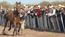 Una diputada del PRO quiere prohibir las jineteadas y la Federación Gaucha salió a defenderlas y reclamó que se las considere un deporte. Una diputada del PRO quiere prohibir las jineteadas y la Federación Gaucha salió a defenderlas y reclamó que se las considere un deporte.