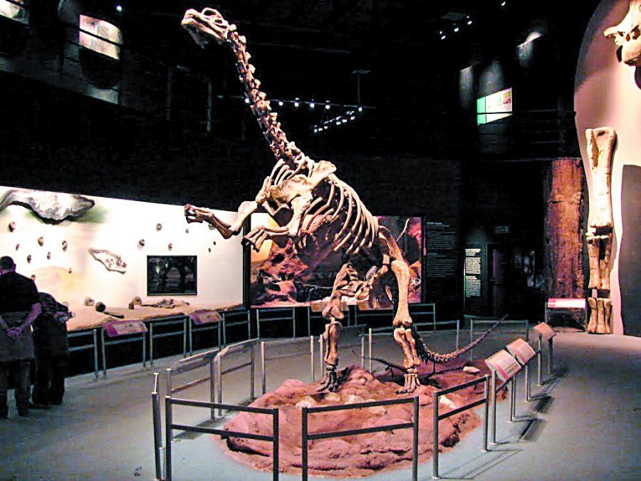 Más espacio en un museo para disfrutar