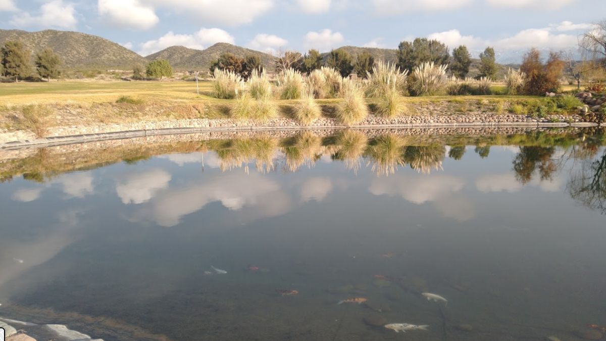 Esta es la laguna del cementerio parque Los Andes Memorial, de Godoy Cruz, donde cayó Carlos Raúl Pérez y murió ahogado al no saber nadar.