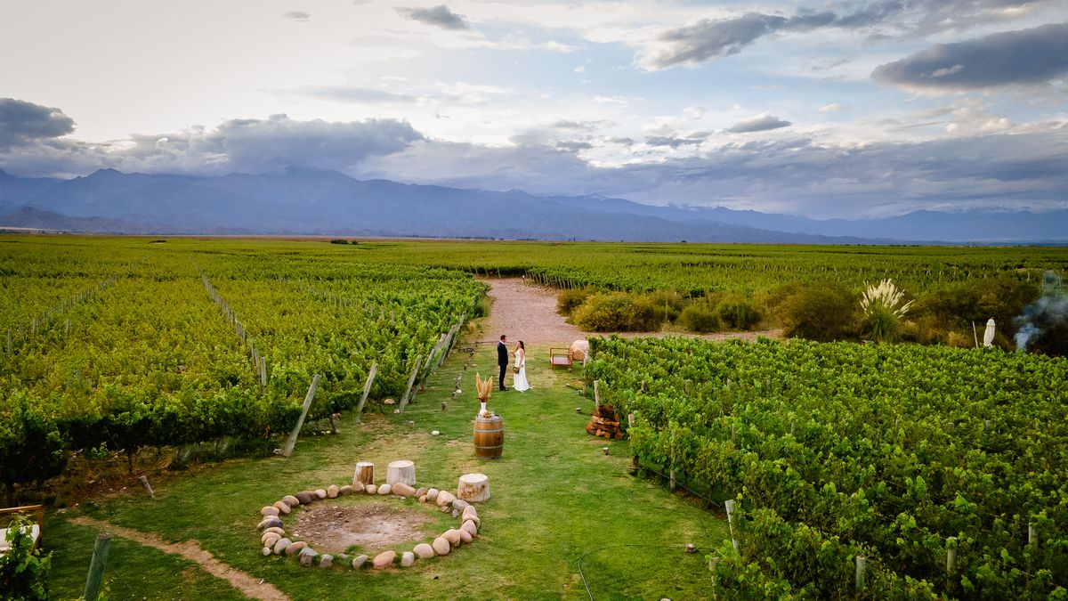 El entorno de viñedos, predilecto para la elección del lugar a la hora de realizar una ceremonia de enlace sin invitados. El entorno de viñedos, predilecto para la elección del lugar a la hora de realizar una ceremonia de enlace sin invitados.