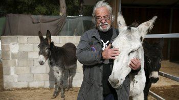 “El burro es más inteligente que el caballo