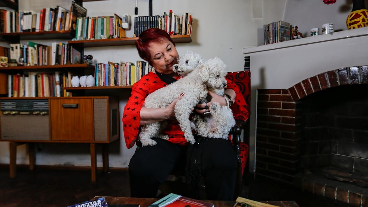La escritora Mercedes Fernández con algunas de sus tantas mascotas. La escritora Mercedes Fernández con algunas de sus tantas mascotas.
