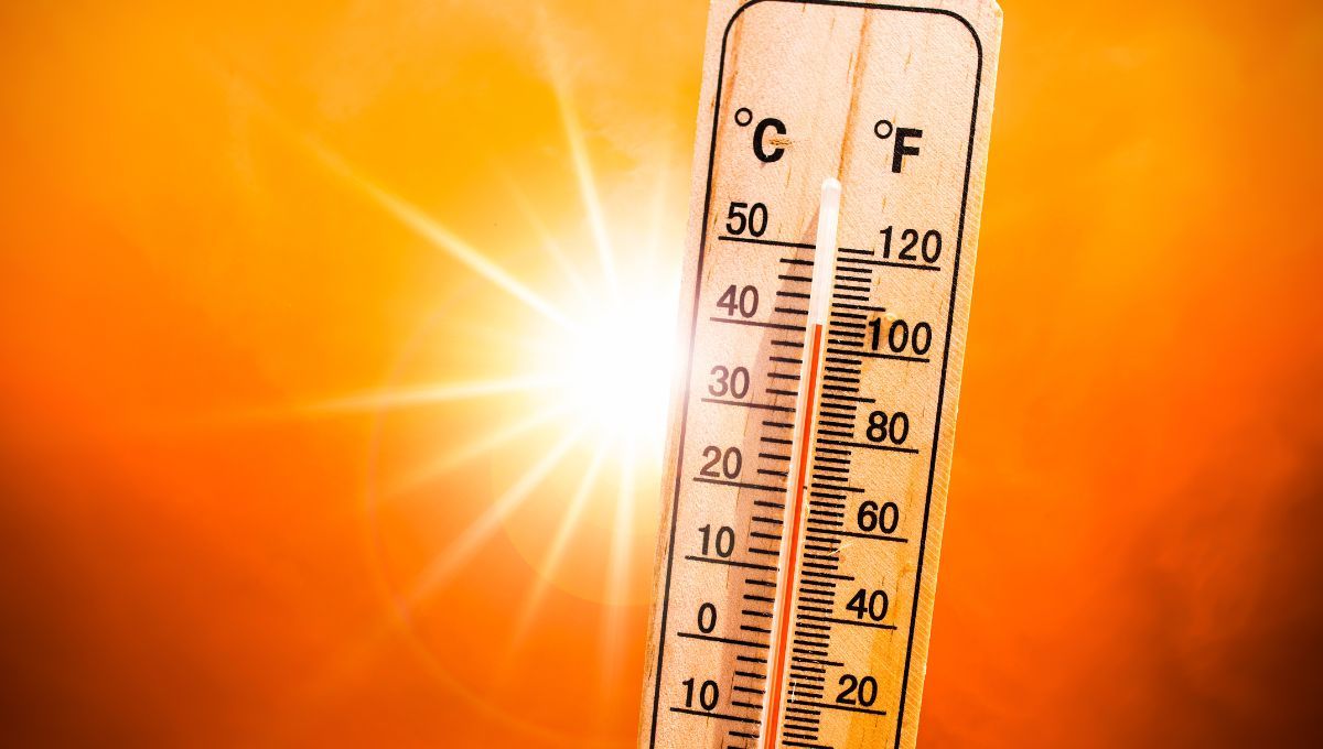 Estas son las áreas afectadas por calor extremo