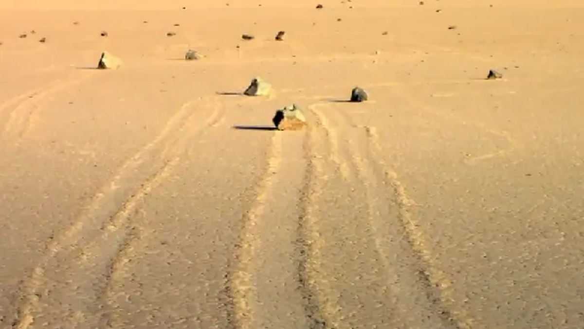 Aún no está claro cómo llegan a moverse las más grandes Aún no está claro cómo llegan a moverse las más grandes