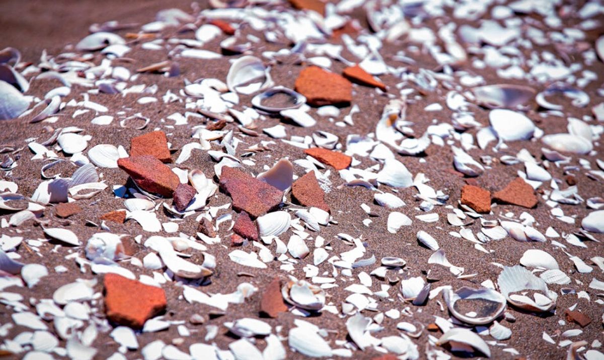 Descubrimiento de un histórico e increíble "tesoro" dejó sin palabras a México y EEUU Descubrimiento de un histórico e increíble "tesoro" dejó sin palabras a México y EEUU