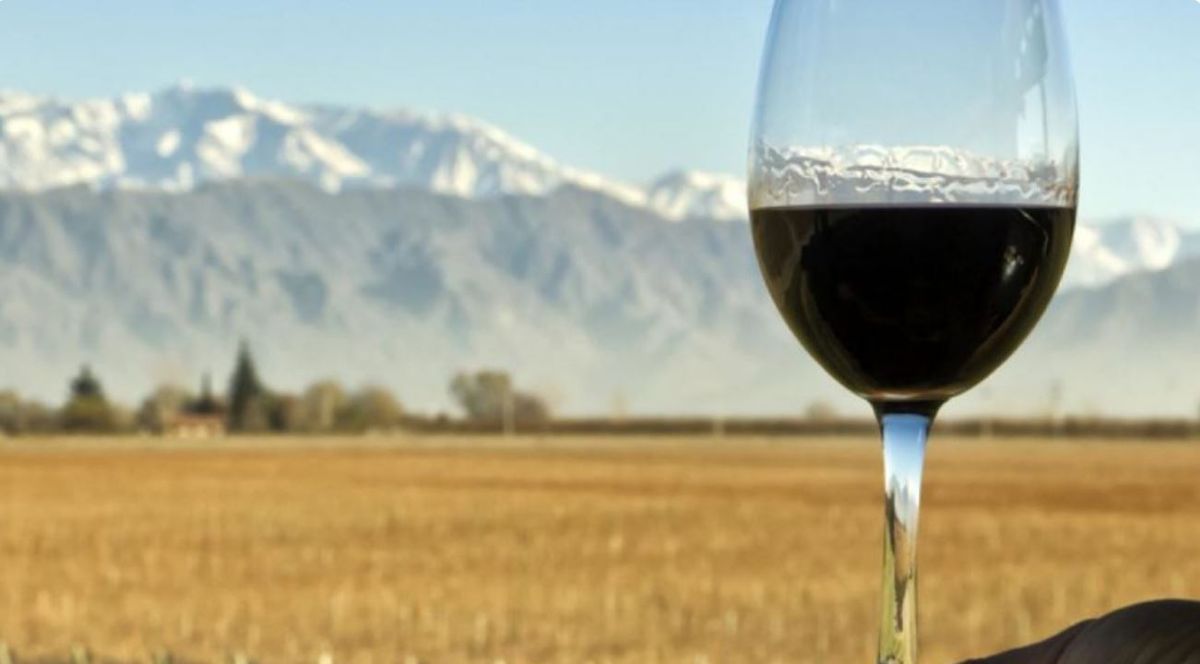 Un vino mendocino quedó segundo entre los 100 mejores del mundo