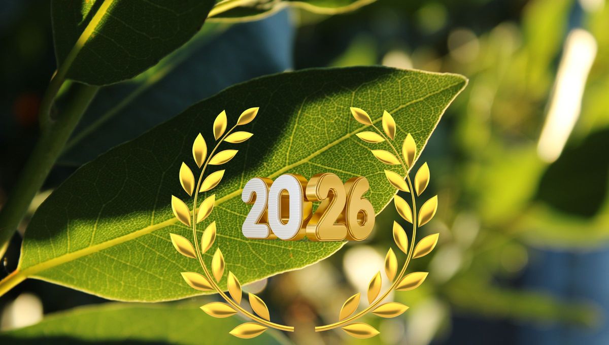 Empieza el año como nunca antes, gracias a este amuleto. Empieza el año como nunca antes, gracias a este amuleto.