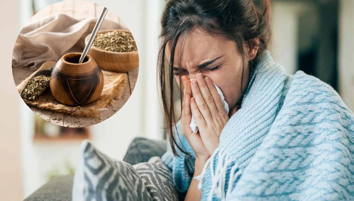 Qué hierba ponerloe al mate para ocmbatir la gripe y el resfrío.