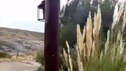 Nevó en Malargüe y fue una de las ciudades más fría del país. (Captura de pantalla).