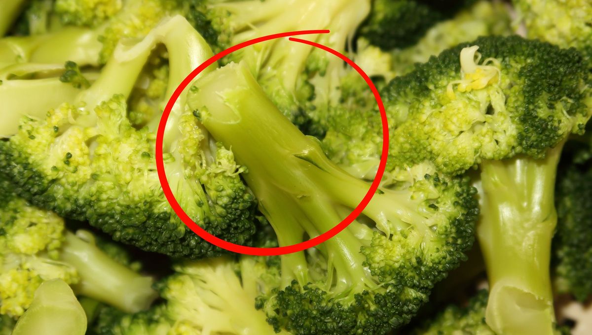 Los tallos de br&oacute;coli pueden tener una "segunda vida" despu&eacute;s de cocinarlos.