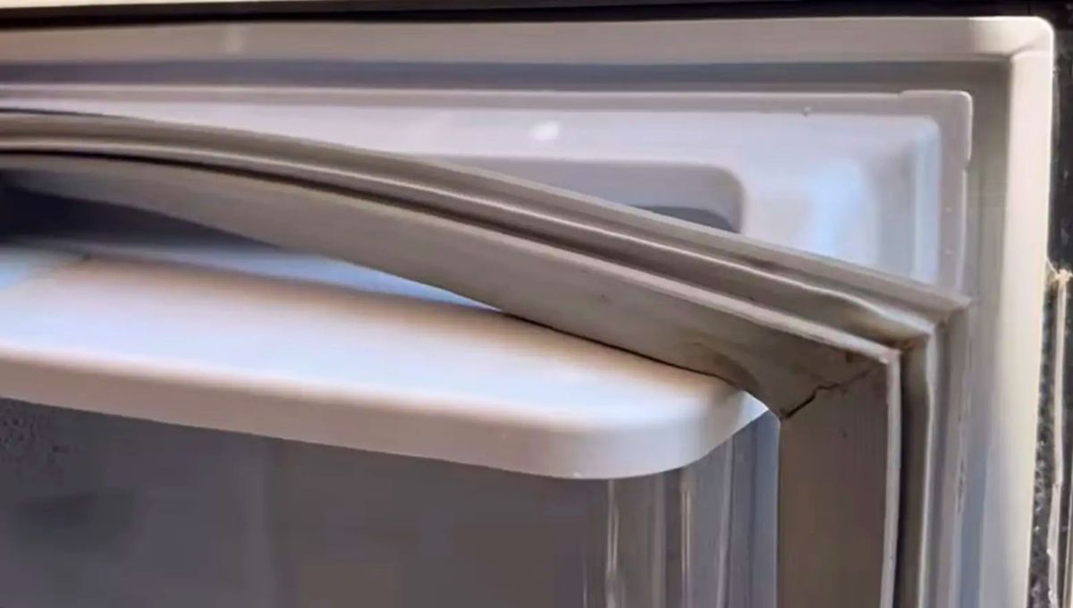 Puedes colocar una moneda en un vaso con hielo y enviarlo al congelador. Si la moneda al tiempo se va al fondo, es porque está funcionando mal. Puedes colocar una moneda en un vaso con hielo y enviarlo al congelador. Si la moneda al tiempo se va al fondo, es porque está funcionando mal. 