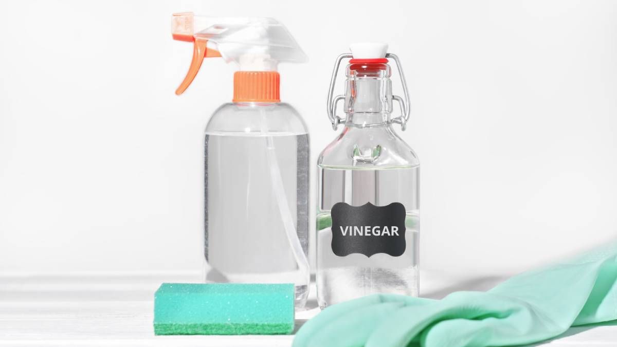 13 usos sorprendentes del vinagre en la limpieza de la cocina