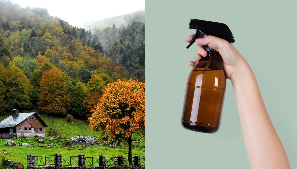 Trae el otoño al interior de tu hogar con este perfume casero.