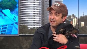 Ricardo Darín se metió en vivo a un programa con un perro callejero