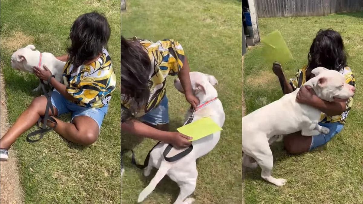 El reencuentro del pitbull con la hermana de su humana fue emocionante.