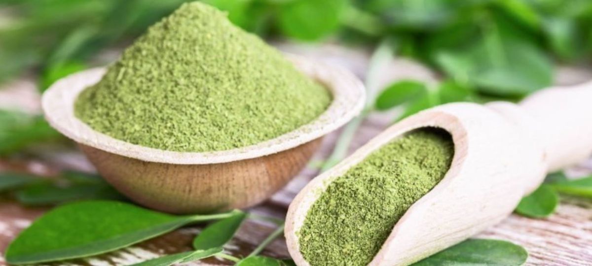 La planta medicinal La planta medicinal