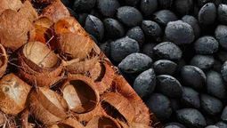 El fin del monopolio de la leña: el carbón de coco que desploma los costos energéticos en el mercado africano El fin del monopolio de la leña: el carbón de coco que desploma los costos energéticos en el mercado africano