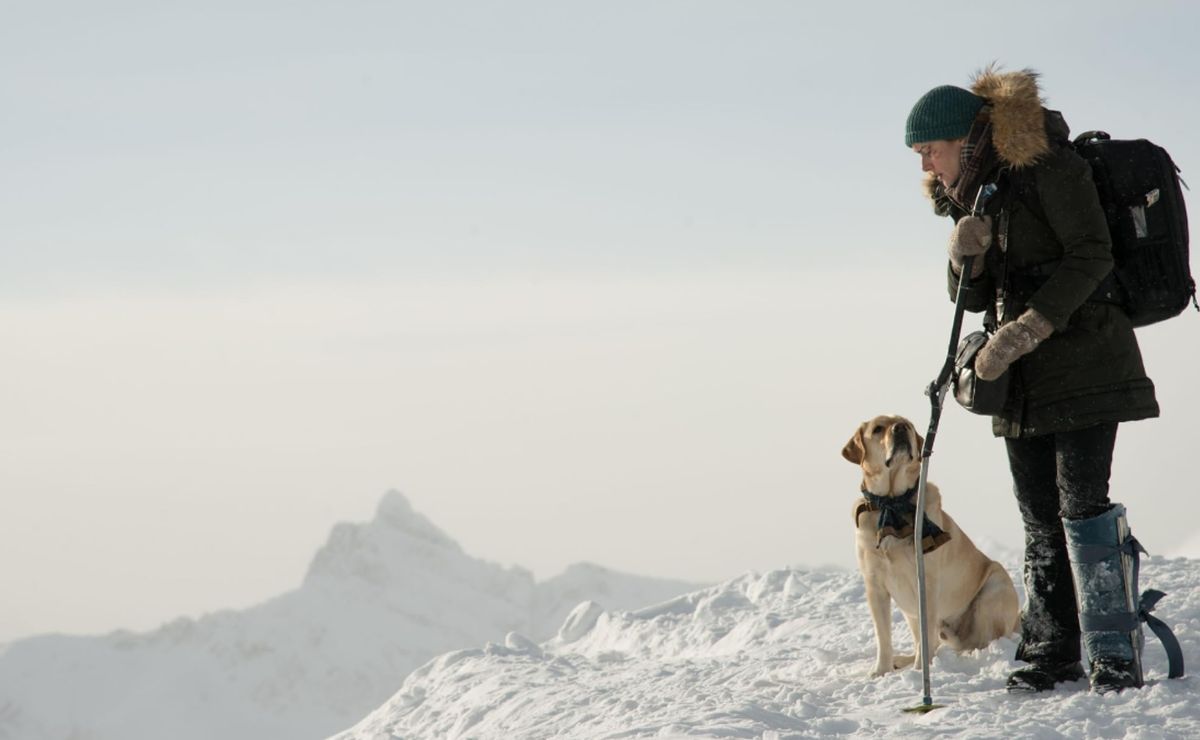 Idris Elba la rompe con esta tremenda película de gran éxito. Idris Elba la rompe con esta tremenda película de gran éxito.