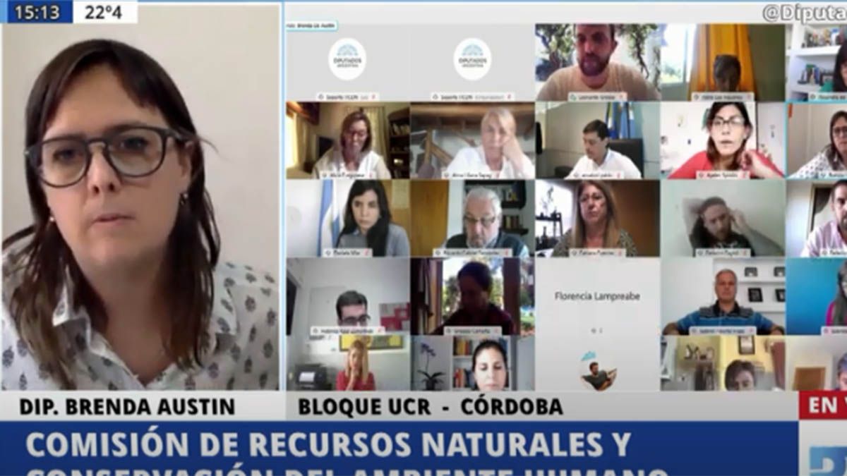 Diputados trabaja en proyectos de recursos naturales