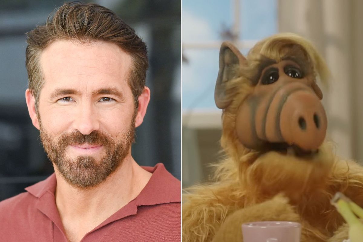 El regreso de un clásico. Alf regresa a la televisión de la mano de Ryan Reynolds. El regreso de un clásico. Alf regresa a la televisión de la mano de Ryan Reynolds.