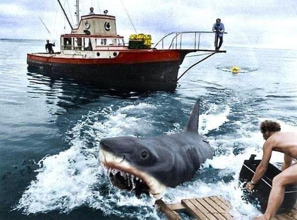 Los datos curiosos de la película "Tiburón" que sorprenden al mundo entero Los datos curiosos de la película "Tiburón" que sorprenden al mundo entero