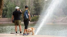 ¿hasta cuando seguiran las temperaturas primaverales?