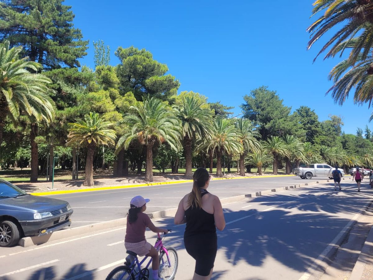 El parque tiene clientes a toda hora. El parque tiene clientes a toda hora.