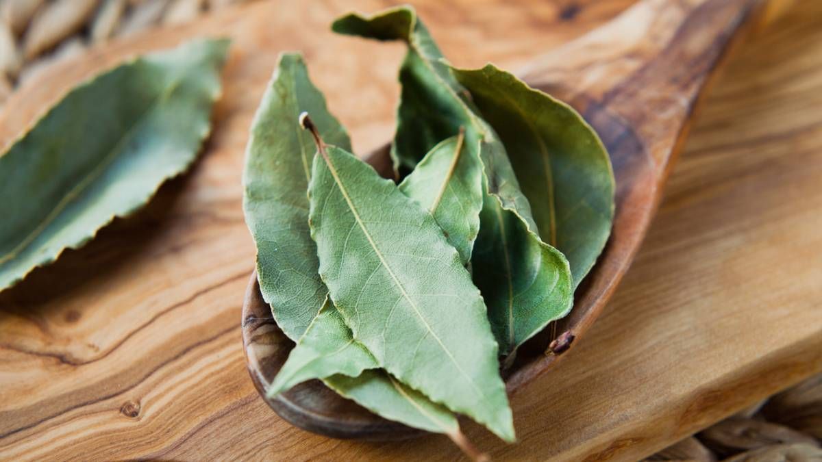 Para que la abundancia y buena energía de tu hogar no se vea afectada cuando recibes visitas, realiza este ritual que comparte el Feng Shui. Para que la abundancia y buena energía de tu hogar no se vea afectada cuando recibes visitas, realiza este ritual que comparte el Feng Shui.