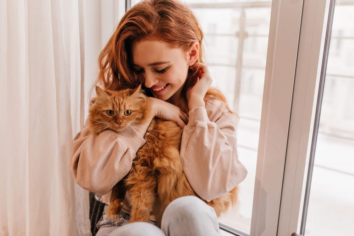 El estudio científico que revela si los gatos prefieren a los hombres o a las mujeres El estudio científico que revela si los gatos prefieren a los hombres o a las mujeres