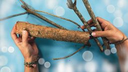 Recicla las ramas caídas de los árboles y crea estas hermosas ideas de decoración